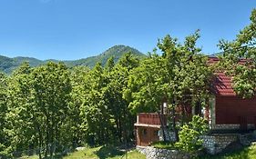 Mountain Village House
