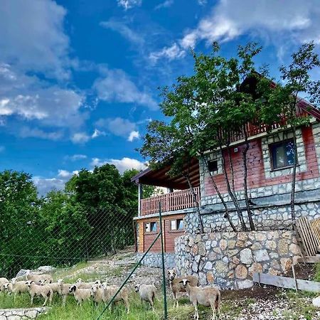 Mountain Village House Cetinje Esterno foto
