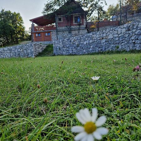 Mountain Village House Cetinje Esterno foto