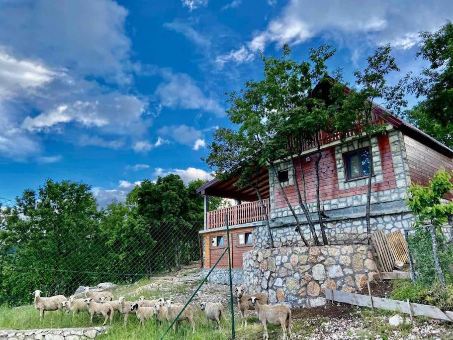 Mountain Village House Cetinje Esterno foto