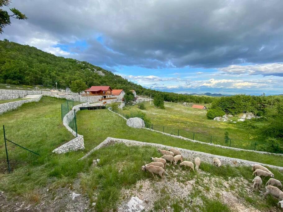 Mountain Village House Cetinje Esterno foto