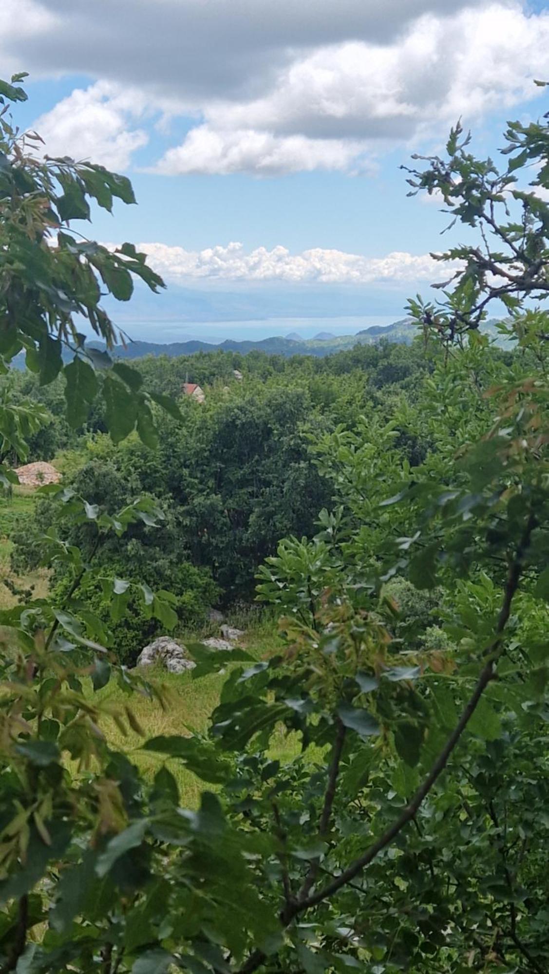 Mountain Village House Cetinje Esterno foto