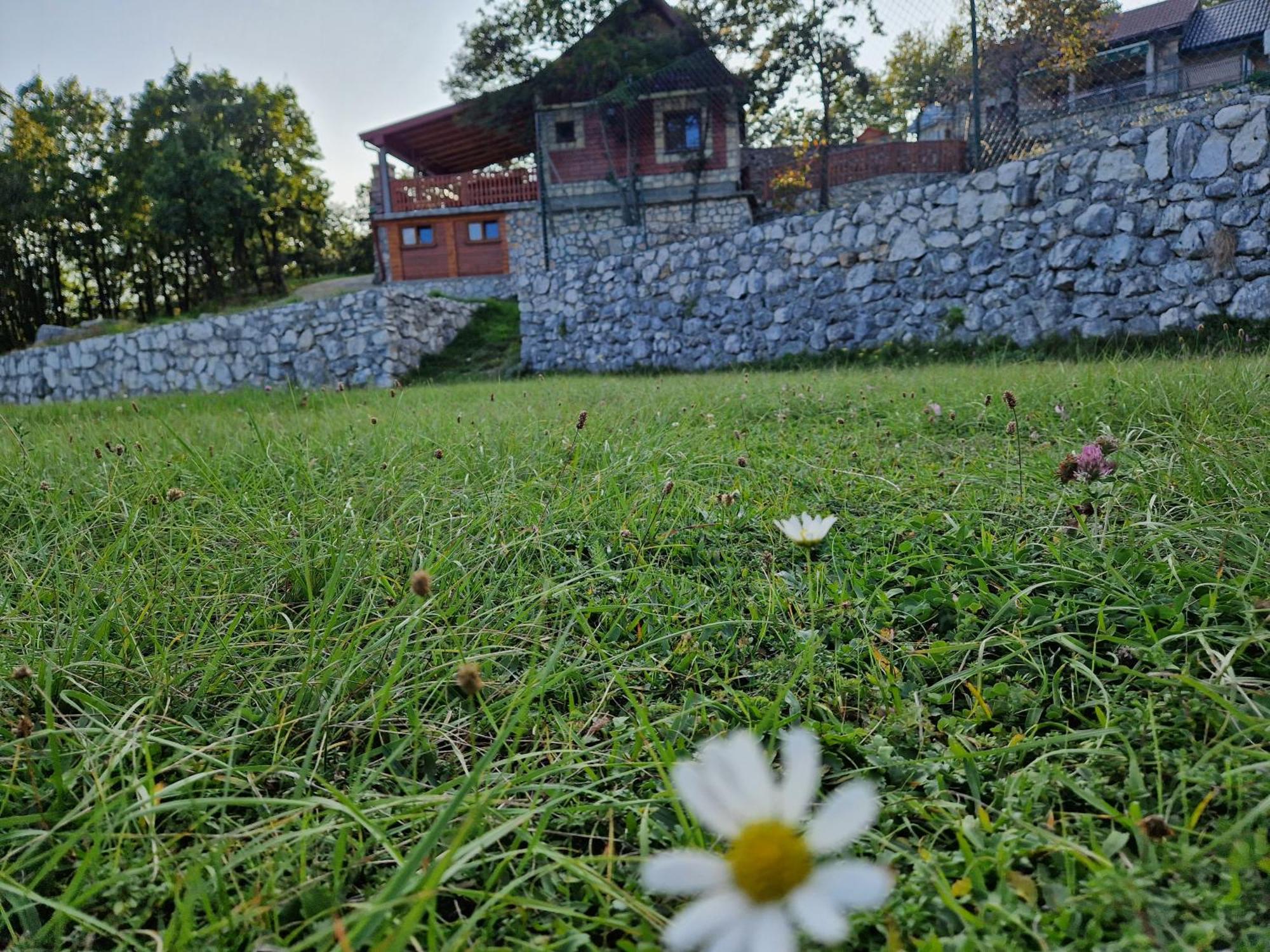 Mountain Village House Cetinje Esterno foto